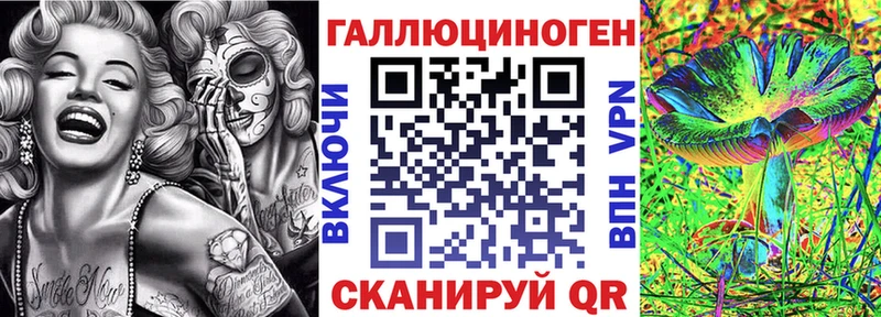 Псилоцибиновые грибы Magic Shrooms  закладка  Томмот 